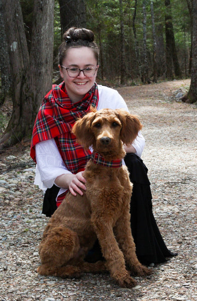 Dog Collar in Royal Stewart Tartan Plaid for Christmas Photos