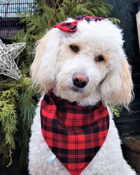 Erskine Red and Black Tartan Dog Bandana