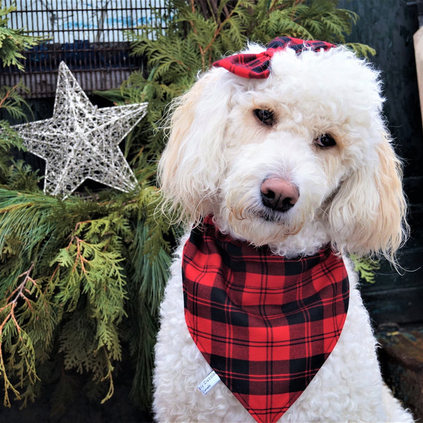 Erskine Red and Black Tartan Dog Bandana