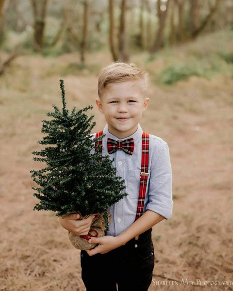 Young boy wearing Royal Stewart plaid suspenders and bow tie holding a small Christmas tree in a forest setting