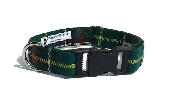 green, yellow, white and red plaid dog collar on white background