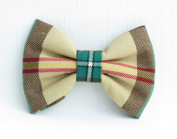 Yellow, green and brown pet bow tie in Saskatchewan tartan by Taylors Tartans