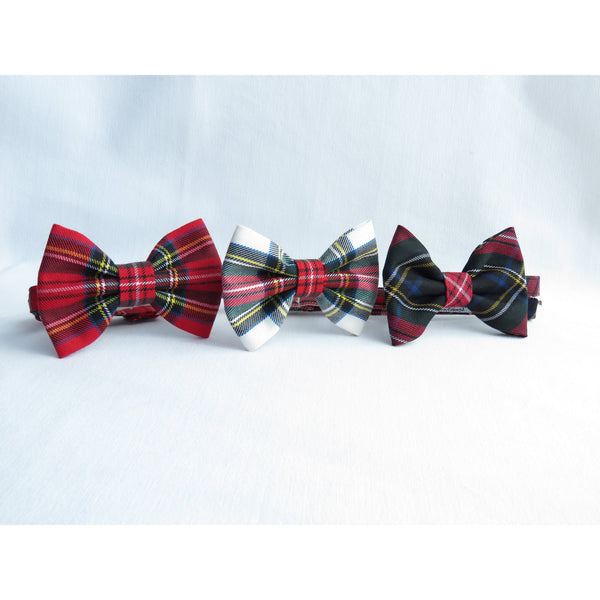 Royal Stewart bow tie, Dress Stewart bow tie, Black Stewart bow tie - Taylors Tartans