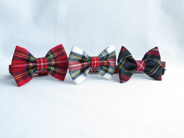 Royal Stewart bow tie, Dress Stewart bow tie, Black Stewart bow tie - Taylors Tartans