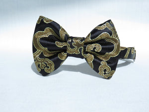 Gold and Black Man's Bow Tie-Taylors Tartans