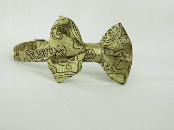 Gold and Brown Man's Bow Tie-Taylors Tartans