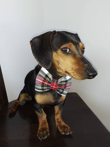 Dog Bow Tie, Dress Stewart Wedding Ring Bearer Bow Tie for Dogs, Plaid Pet Bow Ties,  Bow Tie for Birthday Dogs Photos
