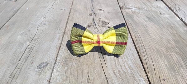 Macleod Tartan Wedding Ring Bearer Bow Tie for Dogs