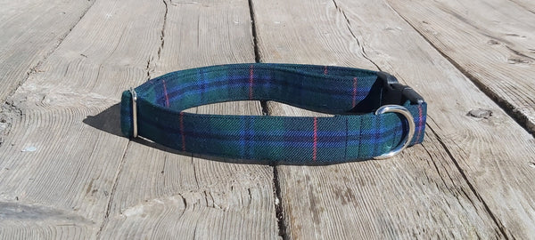 Armstrong Tartan Dog Collar for Dog Wedding Ringbearer