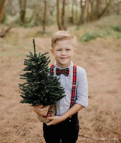 Royal Stewart Bow Tie and Suspenders-Taylors Tartans